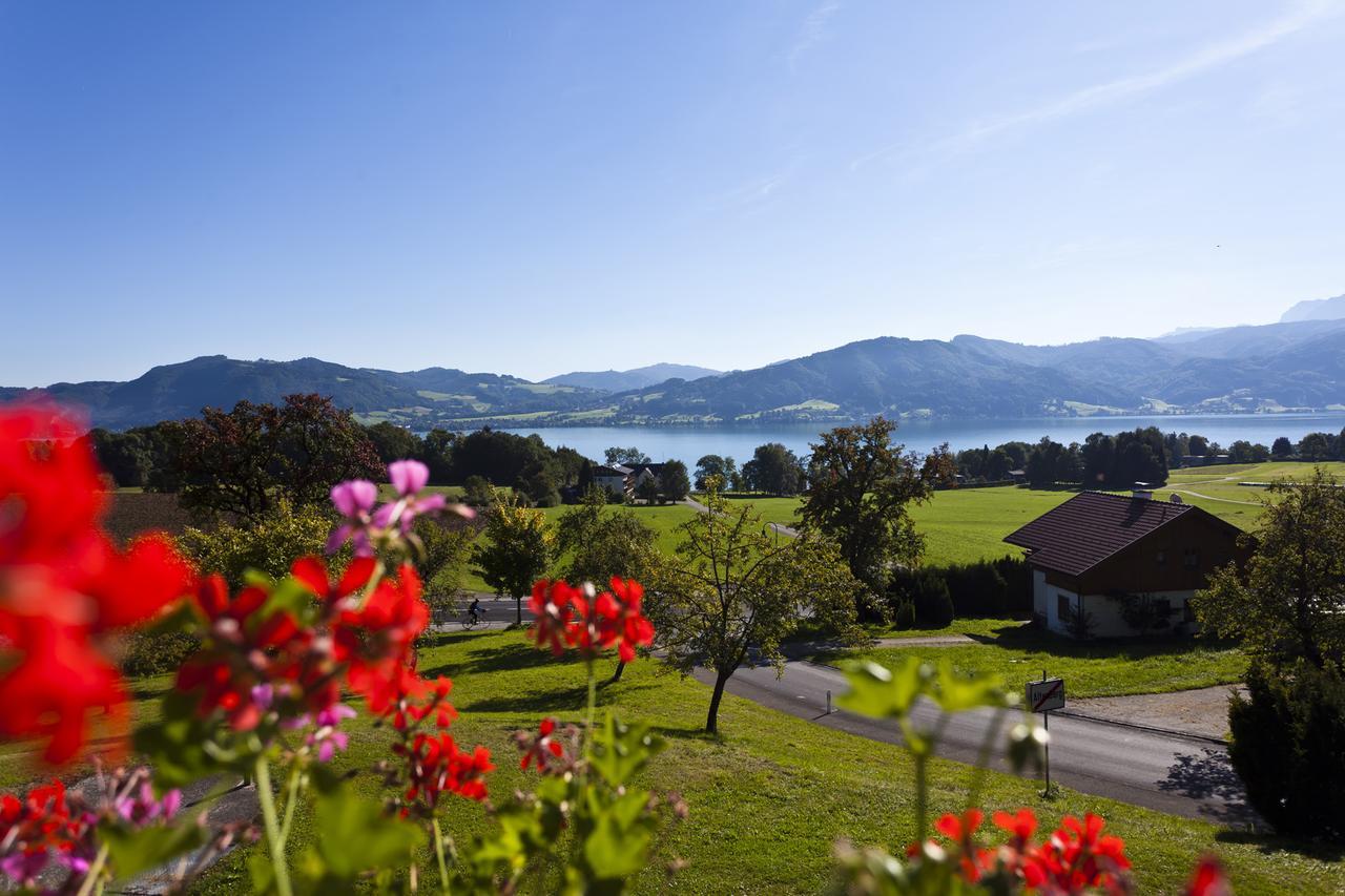 Hotel Haberl - Attersee المظهر الخارجي الصورة